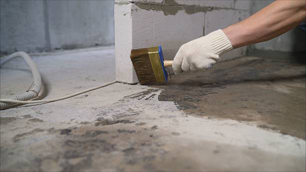 SJ Waterproofing Pros Crawl Space Encapsulation coverage map for Rossville, IL and surrounding area